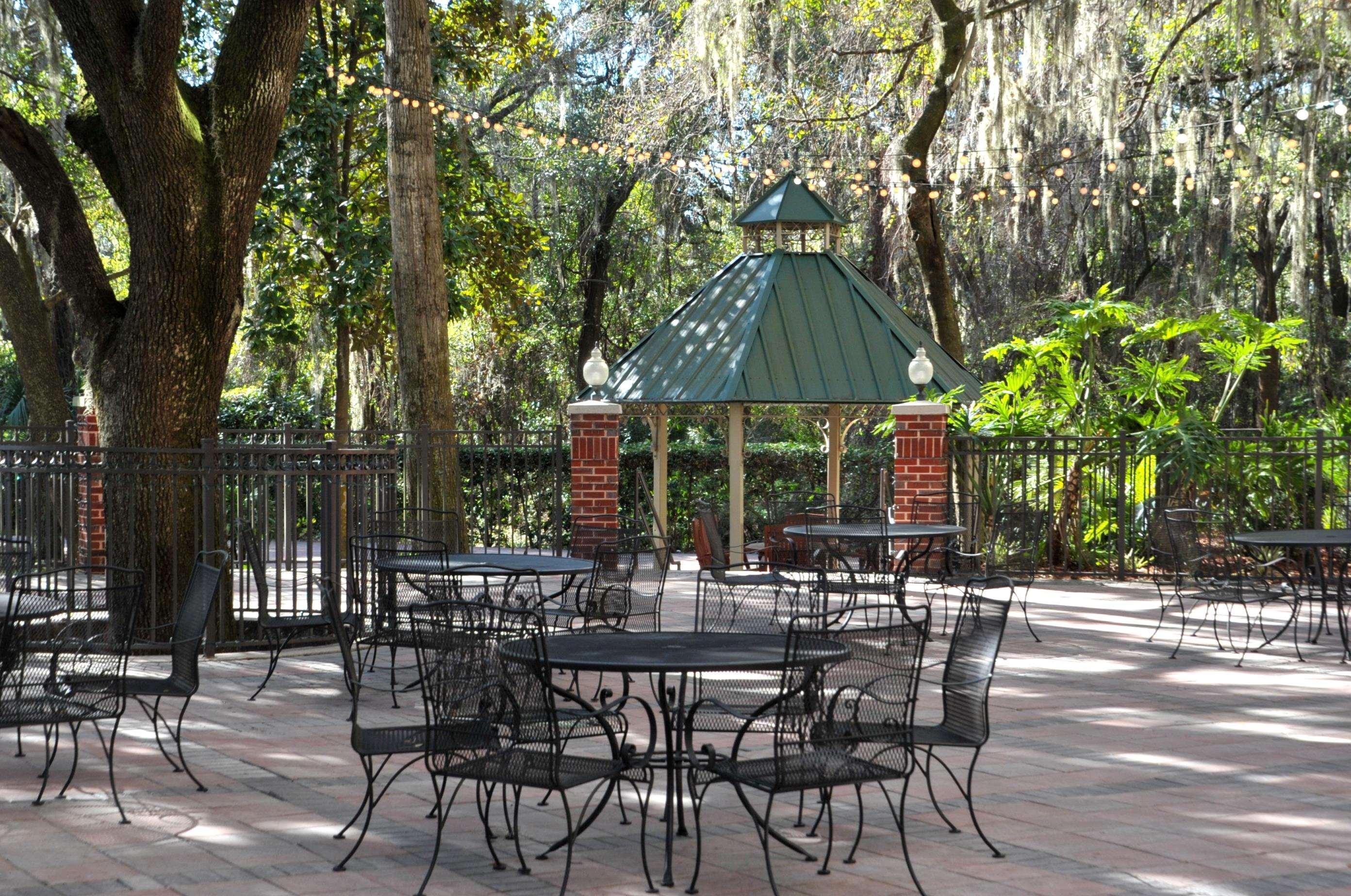 Hilton Garden Inn Tampa East Brandon Exterior foto